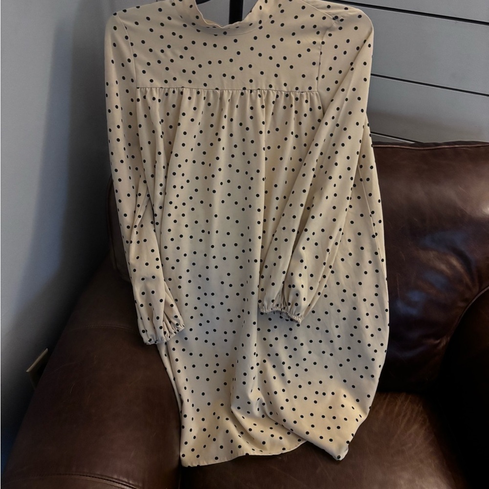 Polka Dot Long Sleeve Dress